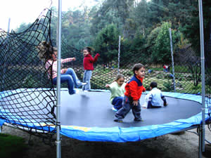 Renta de brincolines medianos